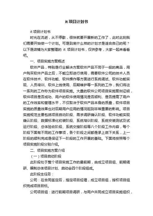 it项目计划书