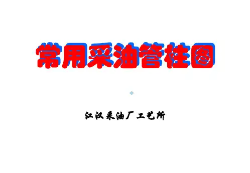 常用采油管柱图