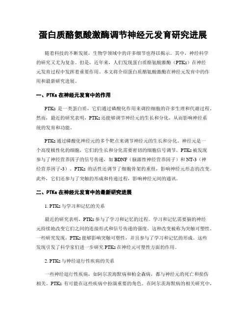 蛋白质酪氨酸激酶调节神经元发育研究进展