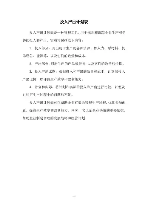 投入产出计划表