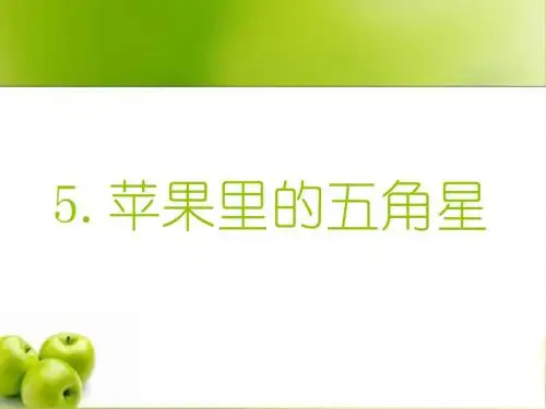 苹果里的五角星(第二课时)