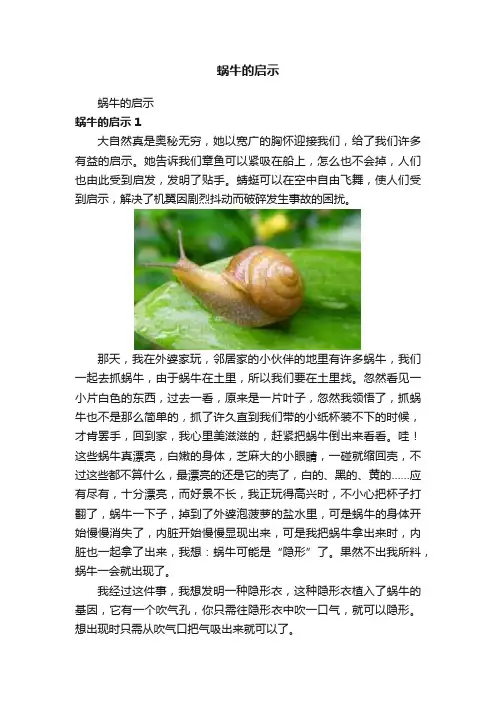 蜗牛的启示