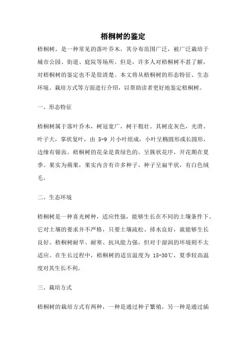 梧桐树的鉴定