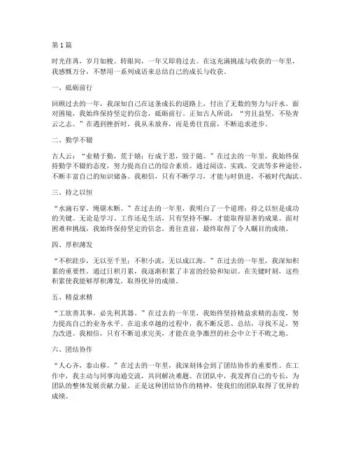 自我年度总结成语(3篇)