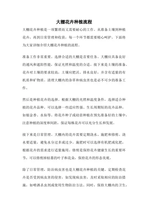 大棚花卉种植流程