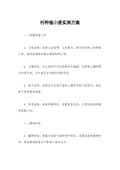 村种植小麦实施方案