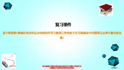 高中物理第6章磁吃电流和运动电荷的作用习题课三带电粒子在匀强磁场中的圆周运动课件鲁科版选修3