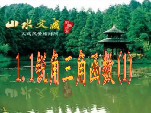1.1锐角三角函数(1)