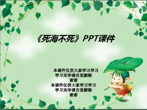 《死海不死》PPT课件