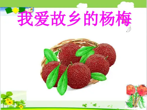 我爱故乡的杨梅 课件(共17张PPT)