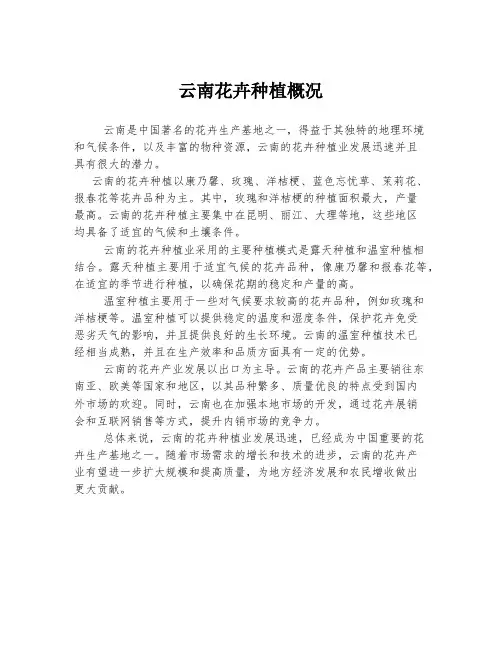 云南花卉种植概况