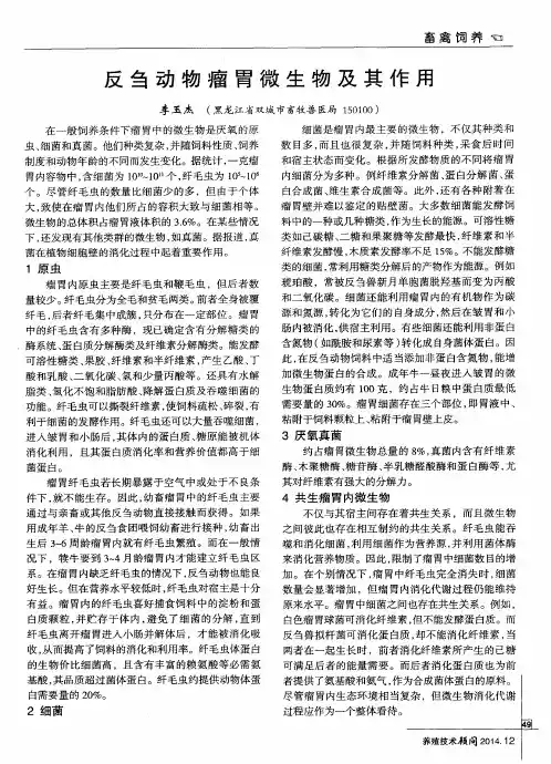 反刍动物瘤胃微生物及其作用