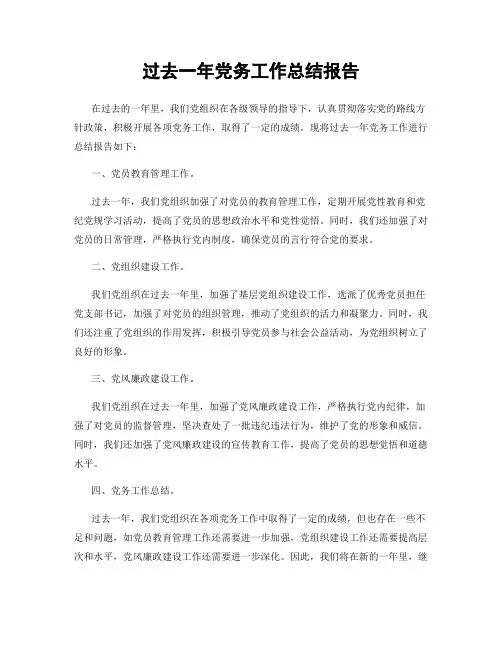 过去一年党务工作总结报告