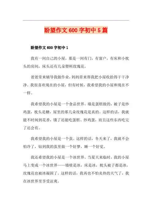 盼望作文600字初中5篇