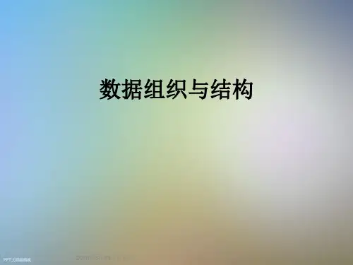 数据组织与结构