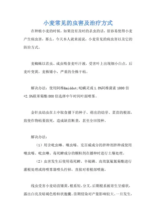 小麦常见的虫害及治疗方式