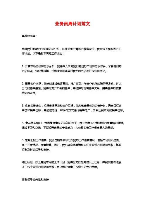 业务员周计划范文