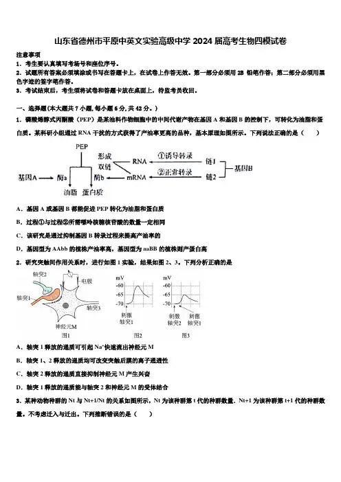 山东省德州市平原中英文实验高级中学2024届高考生物四模试卷含解析