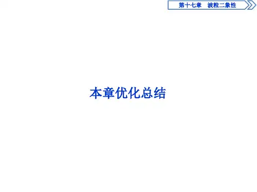 高中物理第十七章 波粒二象性本章优化总结