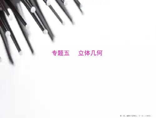 2015年高考数学总复习精品课件：专题五 立体几何