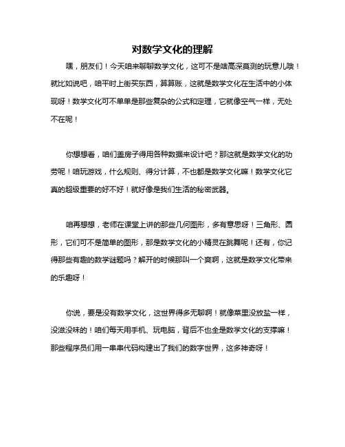 对数学文化的理解