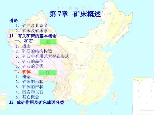 矿床地质学徐九华