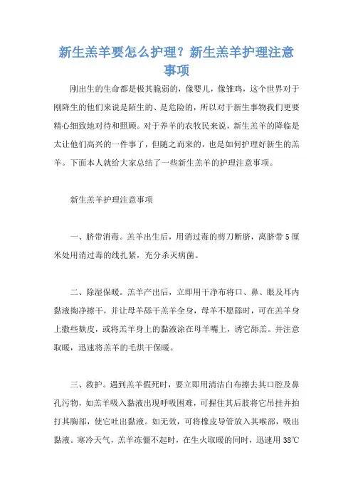 新生羔羊要怎么护理？新生羔羊护理注意事项