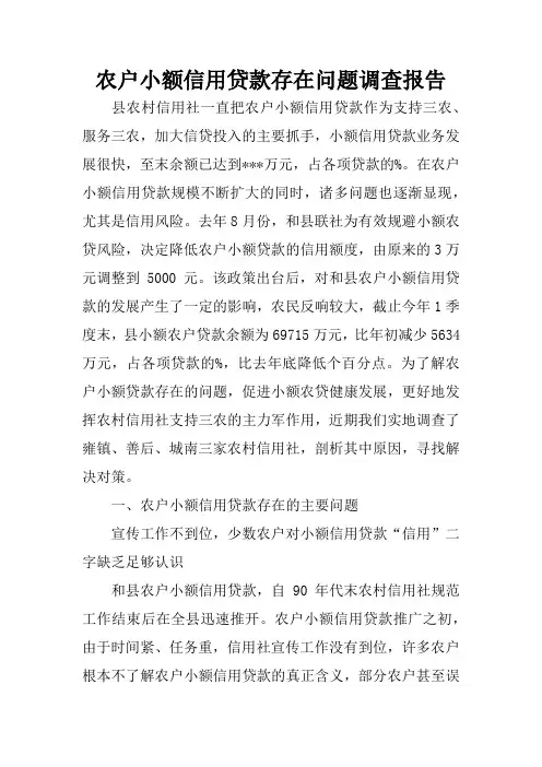 农户小额信用贷款存在问题调查报告
