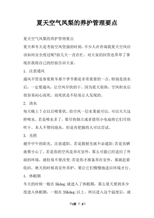夏天空气凤梨的养护管理要点
