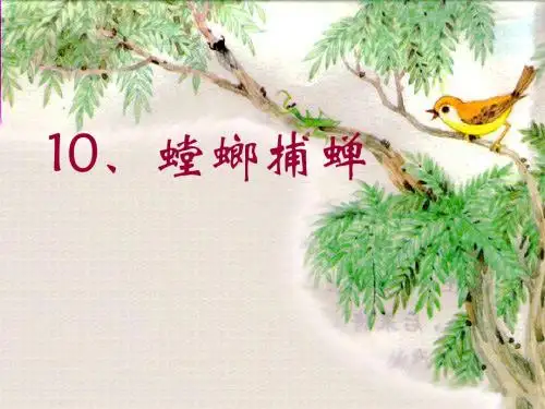 10螳螂捕蝉黄雀在后