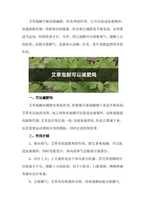 艾草泡脚可以减肥吗,艾草泡脚有什么作用