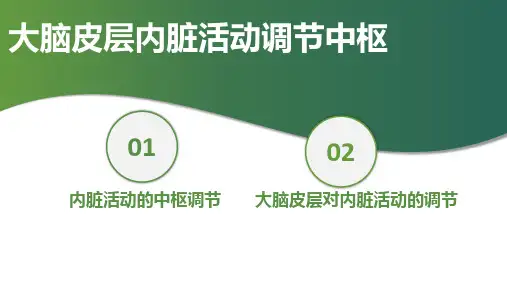 神经系统—神经系统对内脏活动的调节(正常人体机能课件)