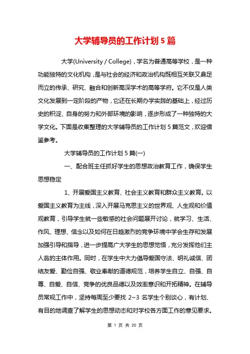 大学辅导员的工作计划5篇