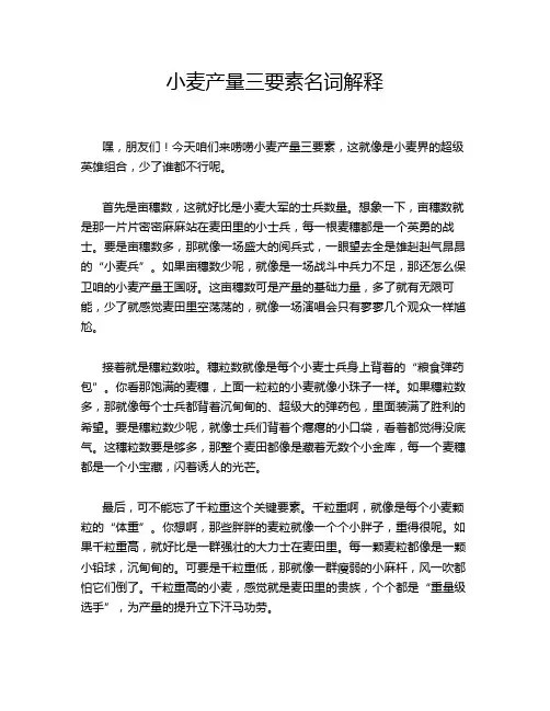 小麦产量三要素名词解释