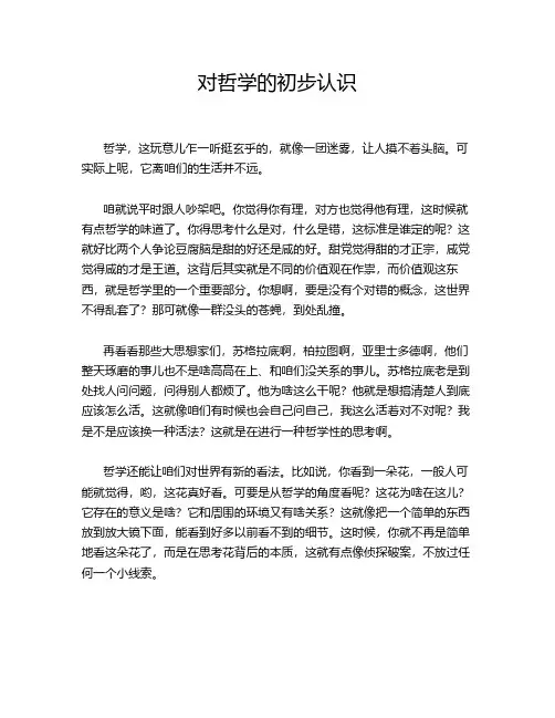 对哲学的初步认识