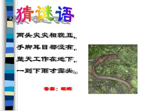 第二十课蚯蚓找家课件