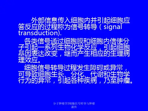分子肿瘤学5细胞信号转导与肿瘤课件