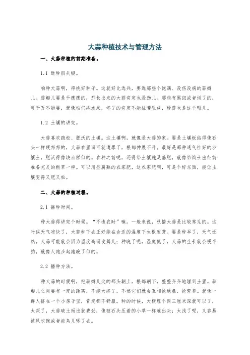 大蒜种植技术与管理方法