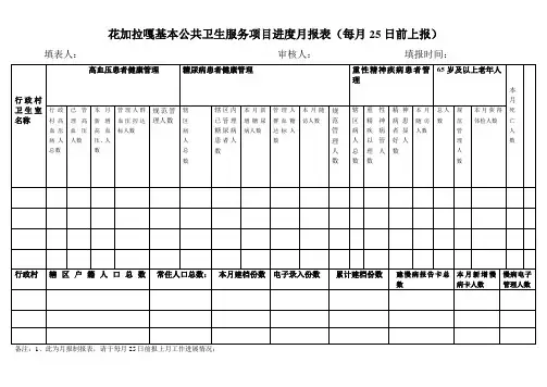 自制表基本公共卫生服务项目进度报表