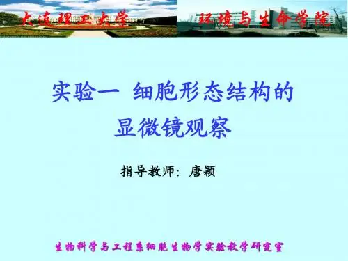 实验一 细胞形态结构的显微镜观察