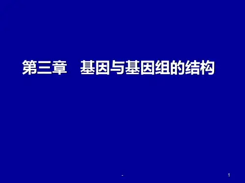 第三章--基因与基因组的结构PPT课件