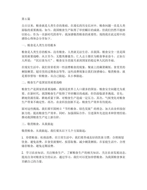 敬畏粮食感悟心得体会(3篇)