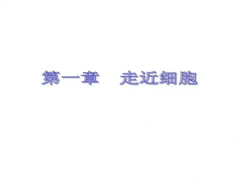 人教版教学课件11-12学年高一生物必修1(新人教版)同步课件：11 从生物圈到细胞