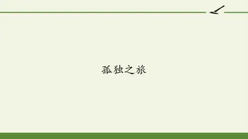 孤独之旅_精品文档