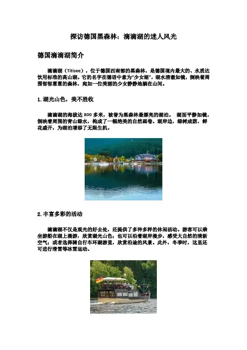 探访德国黑森林：滴滴湖的迷人风光
