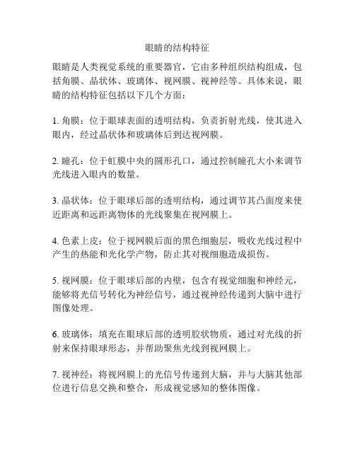 眼睛的结构特征