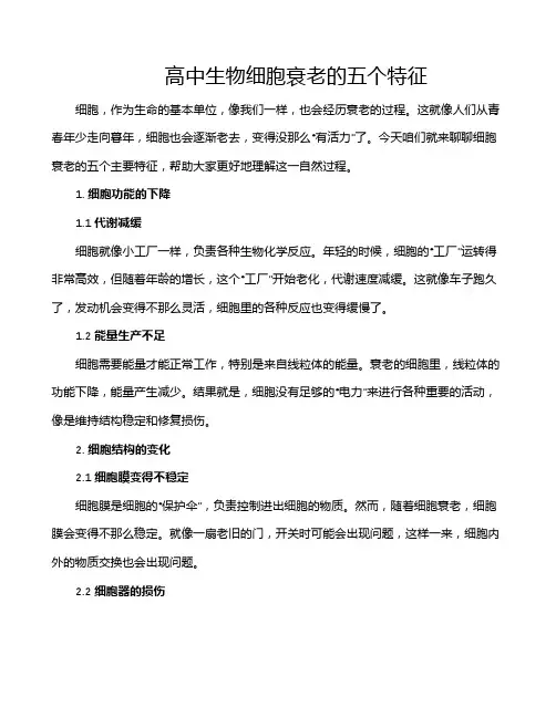 高中生物细胞衰老的五个特征