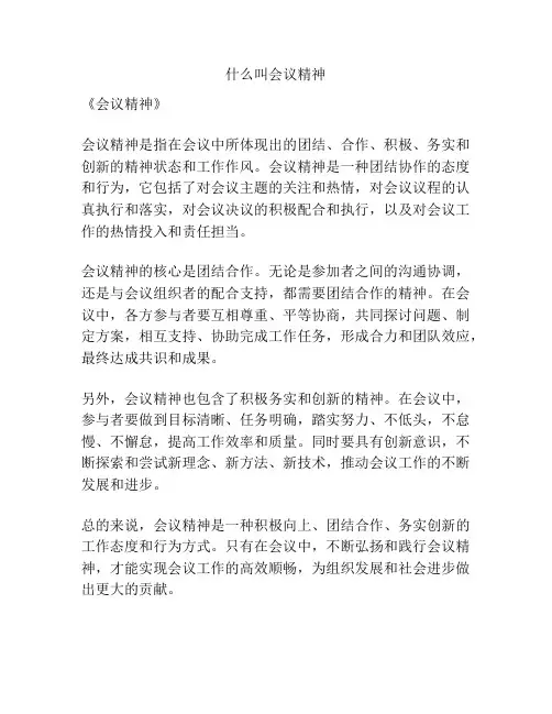 什么叫会议精神