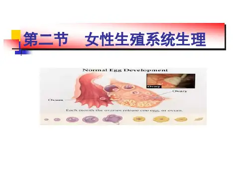 第二章第二节女性生殖系统生理