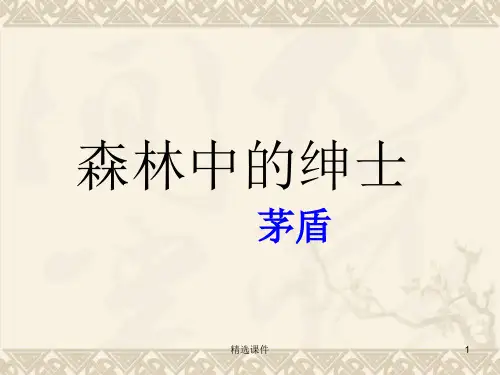 《森林中的绅士》PPT课件
